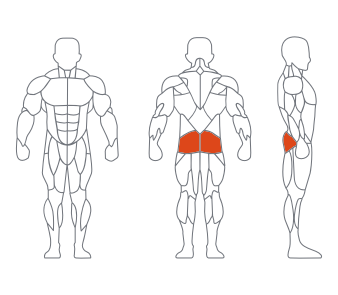 GL-7079大腿伸展练习器(灰色) GL-7079大腿伸展练习器(灰色)