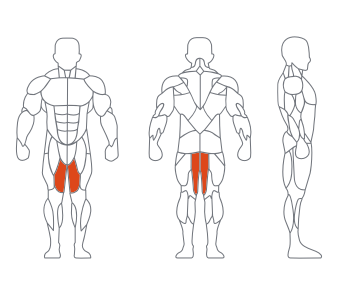 GL-7017大腿内侧(灰色) GL-7017大腿内侧(灰色)